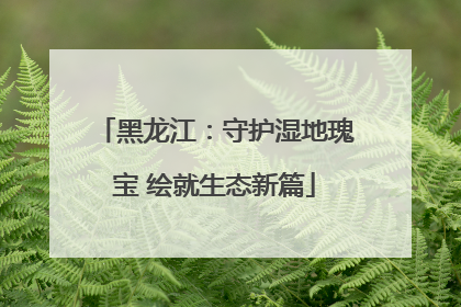 黑龙江：守护湿地瑰宝 绘就生态新篇