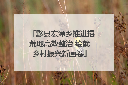 黟县宏潭乡推进撂荒地高效整治 绘就乡村振兴新画卷