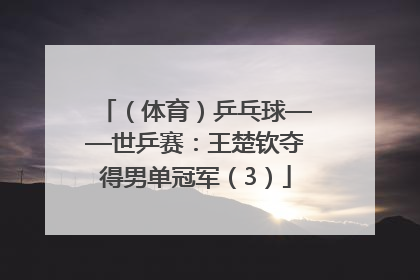 （体育）乒乓球——世乒赛：王楚钦夺得男单冠军（3）