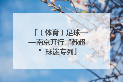 （体育）足球——南京开行“苏超”球迷专列