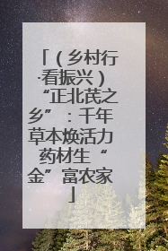（乡村行·看振兴）“正北芪之乡”：千年草本焕活力 药材生“金”富农家