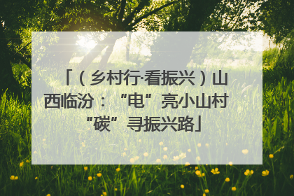 （乡村行·看振兴）山西临汾：“电”亮小山村 “碳”寻振兴路