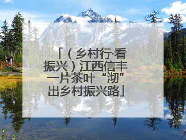 （乡村行·看振兴）江西信丰一片茶叶“沏”出乡村振兴路