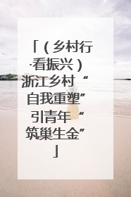 （乡村行·看振兴）浙江乡村“自我重塑” 引青年“筑巢生金”