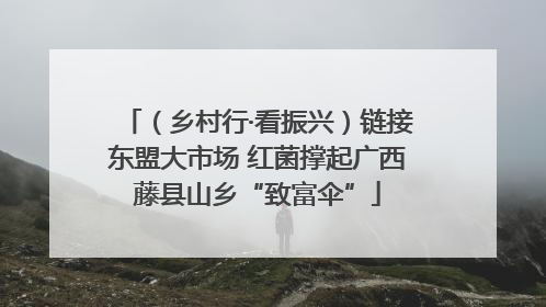 （乡村行·看振兴）链接东盟大市场 红菌撑起广西藤县山乡“致富伞”