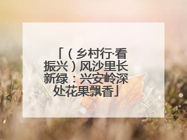 （乡村行·看振兴）风沙里长新绿：兴安岭深处花果飘香