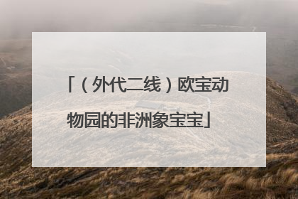 （外代二线）欧宝动物园的非洲象宝宝