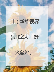 （新华视界）加拿大：野火蔓延