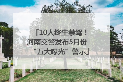 10人终生禁驾！河南交警发布5月份“五大曝光”警示