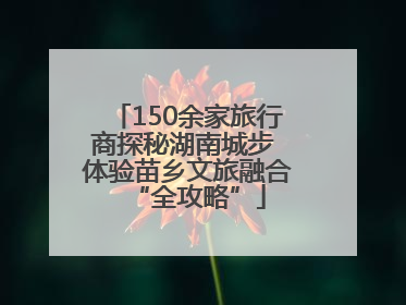 150余家旅行商探秘湖南城步 体验苗乡文旅融合“全攻略”