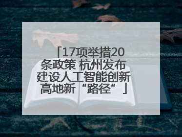 17项举措20条政策 杭州发布建设人工智能创新高地新“路径”