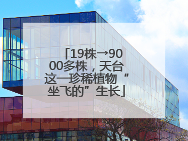 19株→9000多株，天台这一珍稀植物“坐飞的”生长