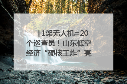 1架无人机=20个巡查员！山东低空经济“硬核王炸”亮相青岛，下一个万亿赛道藏在这里
