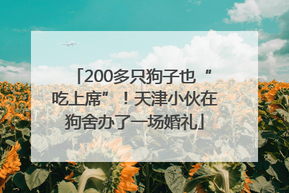 200多只狗子也“吃上席”！天津小伙在狗舍办了一场婚礼