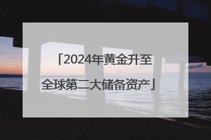 2024年黄金升至全球第二大储备资产