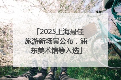 2025上海最佳旅游新场景公布，浦东美术馆等入选