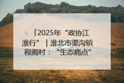 2025年“政协江淮行”｜淮北市渠沟镇程阁村：“生态痛点”变“生态景观”