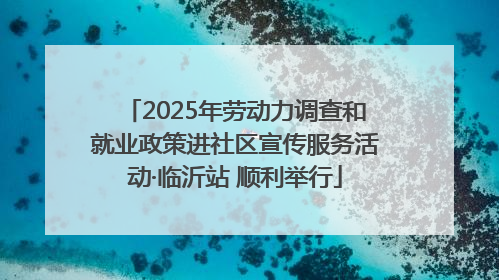 2025年劳动力调查和就业政策进社区宣传服务活动·临沂站 顺利举行