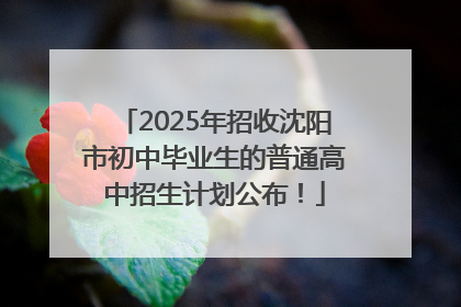 2025年招收沈阳市初中毕业生的普通高中招生计划公布！