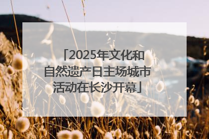 2025年文化和自然遗产日主场城市活动在长沙开幕