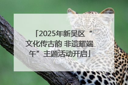 2025年新吴区“文化传古韵 非遗耀端午”主题活动开启
