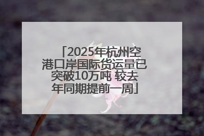 2025年杭州空港口岸国际货运量已突破10万吨 较去年同期提前一周