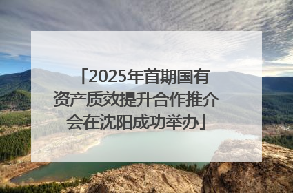 2025年首期国有资产质效提升合作推介会在沈阳成功举办
