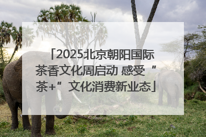 2025北京朝阳国际茶香文化周启动 感受“茶+”文化消费新业态