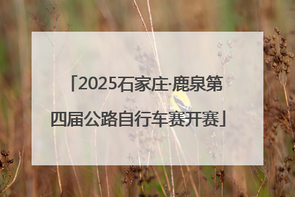 2025石家庄·鹿泉第四届公路自行车赛开赛