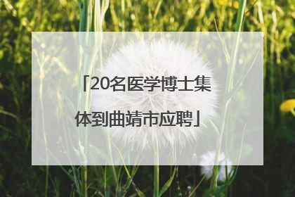 20名医学博士集体到曲靖市应聘