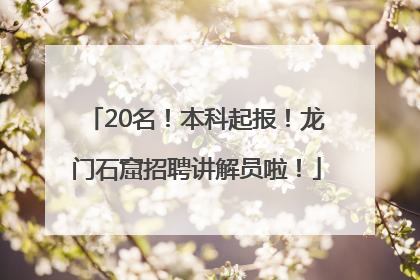 20名！本科起报！龙门石窟招聘讲解员啦！