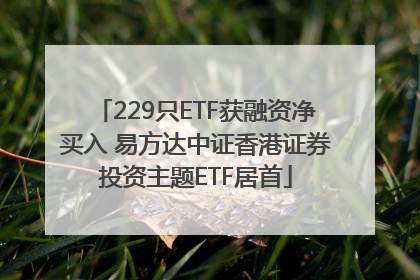 229只ETF获融资净买入 易方达中证香港证券投资主题ETF居首
