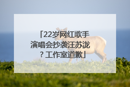 22岁网红歌手演唱会抄袭汪苏泷？工作室道歉