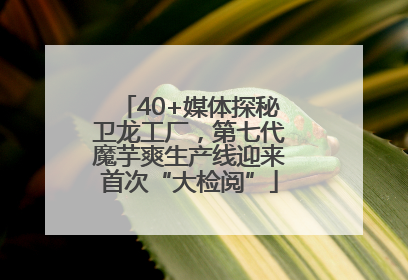40+媒体探秘卫龙工厂，第七代魔芋爽生产线迎来首次“大检阅”