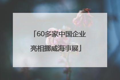 60多家中国企业亮相挪威海事展