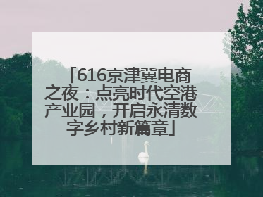 616京津冀电商之夜：点亮时代空港产业园，开启永清数字乡村新篇章