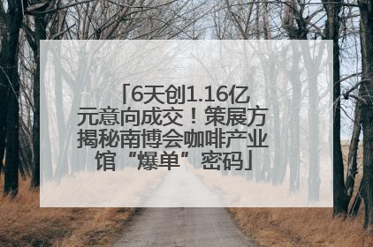 6天创1.16亿元意向成交！策展方揭秘南博会咖啡产业馆“爆单”密码