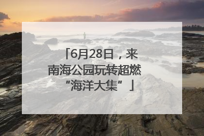 6月28日，来南海公园玩转超燃 “海洋大集”