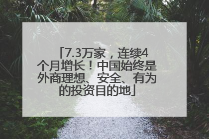 7.3万家，连续4个月增长！中国始终是外商理想、安全、有为的投资目的地