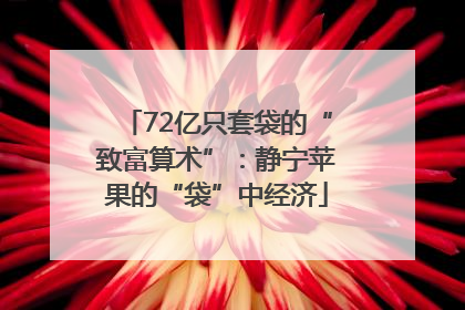 72亿只套袋的“致富算术”：静宁苹果的“袋”中经济