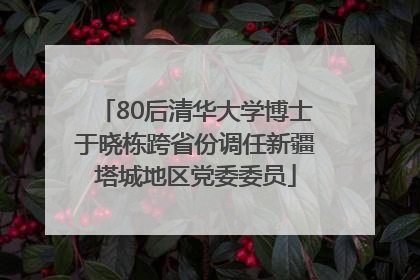 80后清华大学博士于晓栋跨省份调任新疆塔城地区党委委员