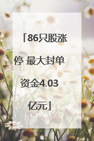86只股涨停 最大封单资金4.03亿元