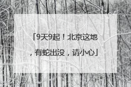 9天9起！北京这地，有蛇出没，请小心