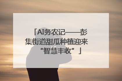 AI务农记——彭集街道甜瓜种植迎来“智慧丰收”