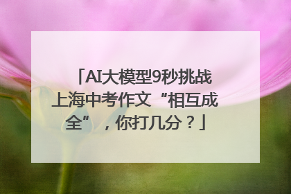 AI大模型9秒挑战上海中考作文“相互成全”，你打几分？