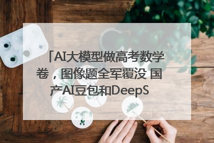 AI大模型做高考数学卷，图像题全军覆没 国产AI豆包和DeepSeek均得分144