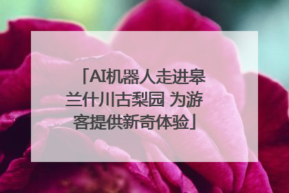 AI机器人走进皋兰什川古梨园 为游客提供新奇体验