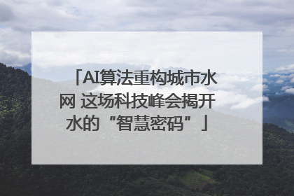 AI算法重构城市水网 这场科技峰会揭开水的“智慧密码”