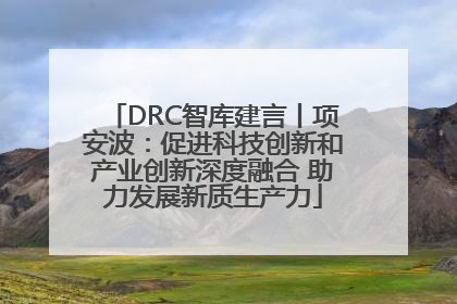 DRC智库建言丨项安波：促进科技创新和产业创新深度融合 助力发展新质生产力