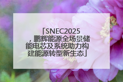 SNEC2025，鹏辉能源全场景储能电芯及系统助力构建能源转型新生态